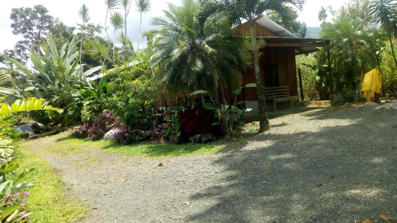 Bed and breakfast Posada Rio Celeste In Extérieur photo